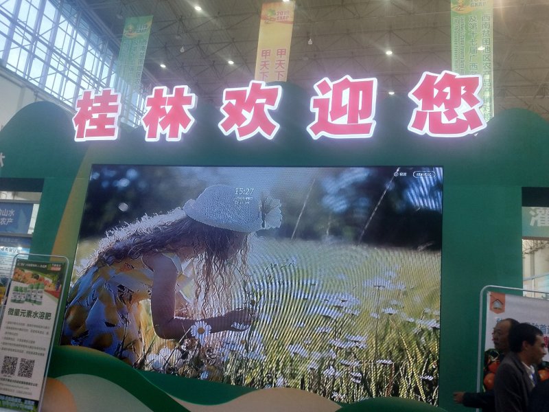 大量供应东方红，招微商电商代理，有意者详谈