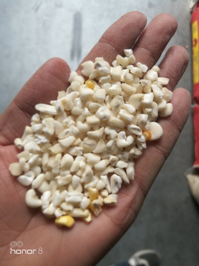 糯玉米仁。所有商品不包邮！所有商品不包邮货物需要自提