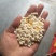 糯玉米仁。所有商品不包邮！所有商品不包邮货物需要自提