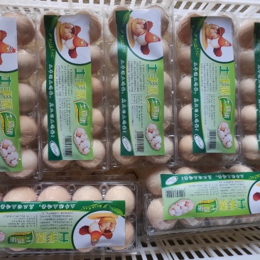 天竺山土鸡蛋10枚