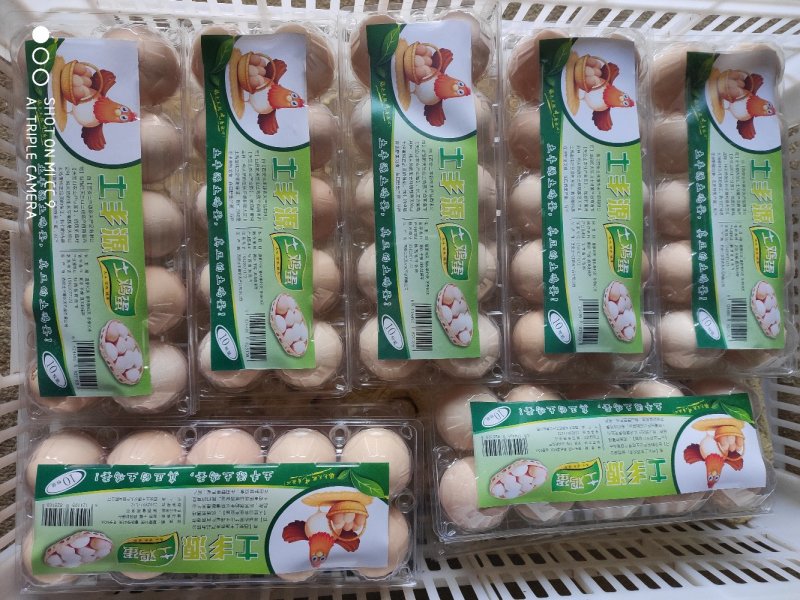 天竺山土鸡蛋10枚