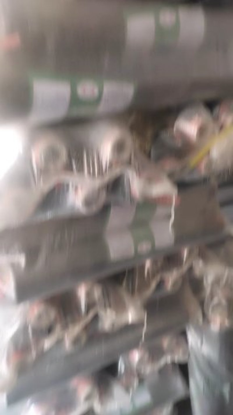 农用加厚黑地膜除草膜果树果园大棚草莓专用黑地毛重10.5