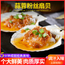 蒜蓉粉丝扇贝真空包装六只装/袋鲜冻蒜蓉粉丝扇贝