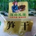 笋丝，干笋丝，英德麻竹笋干，跑江湖，展会精品干货