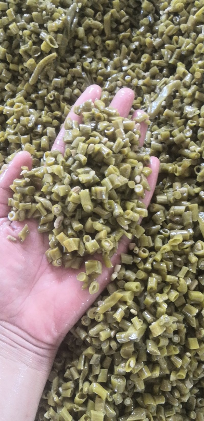 免切原味老坛酸豆角，酸豆角