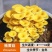 蘑菇菌包菌菇种植包平菇香菇灵芝磨菇种金针菇自种菌种家庭种