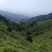 山地出租或者合作