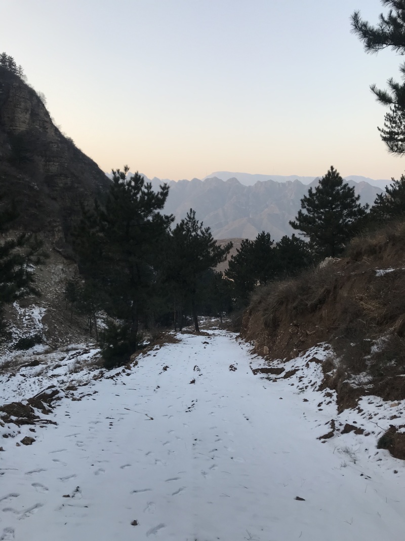 山地出租或者合作