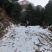 山地出租或者合作