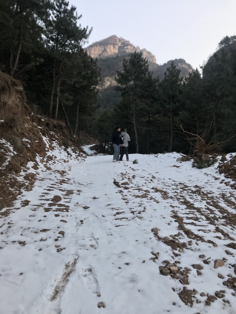 山地出租或者合作