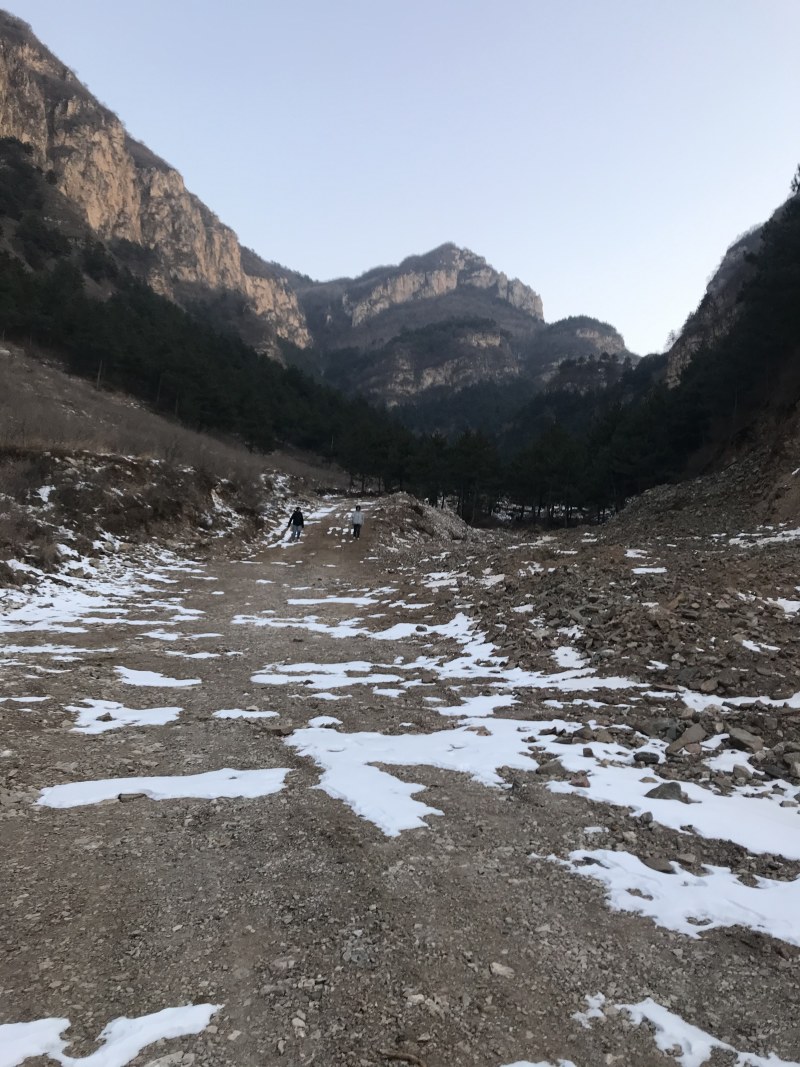 山地出租或者合作