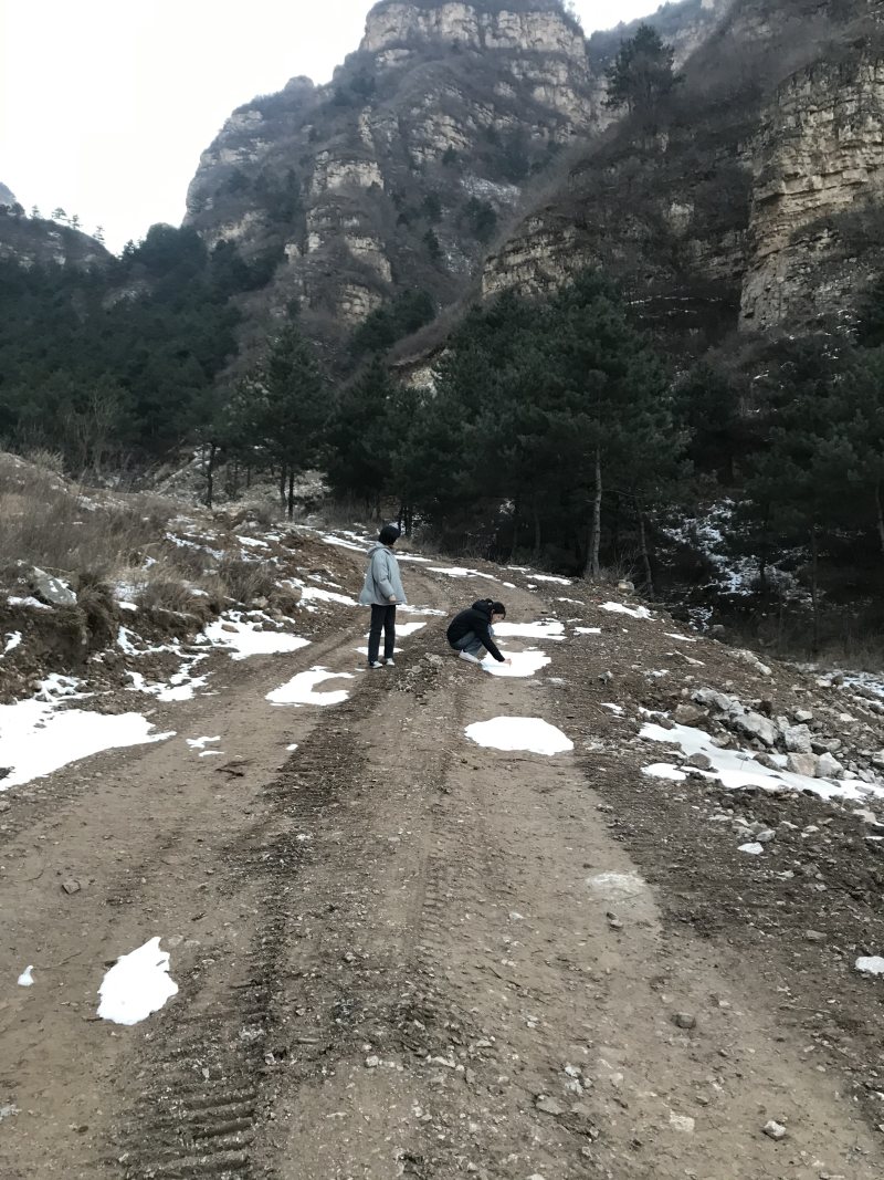 山地出租或者合作