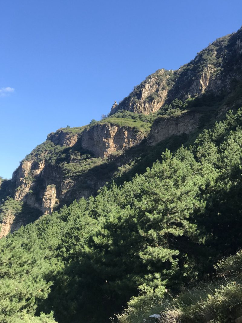 山地出租或者合作
