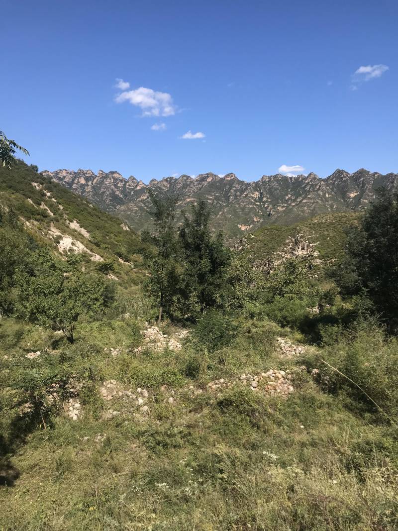 山地出租或者合作