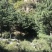 梯田出租或者合作