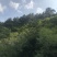 梯田出租或者合作