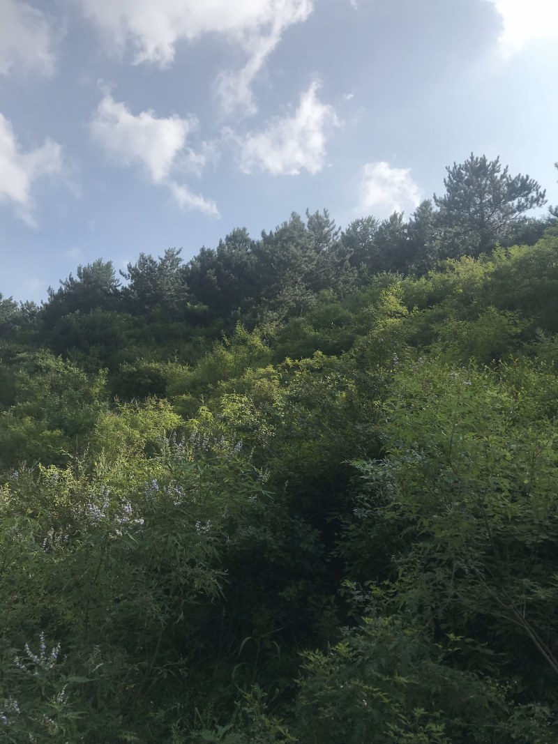 梯田出租或者合作