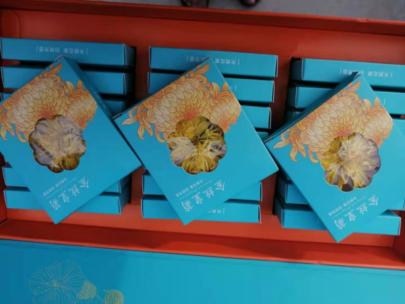金丝皇菊