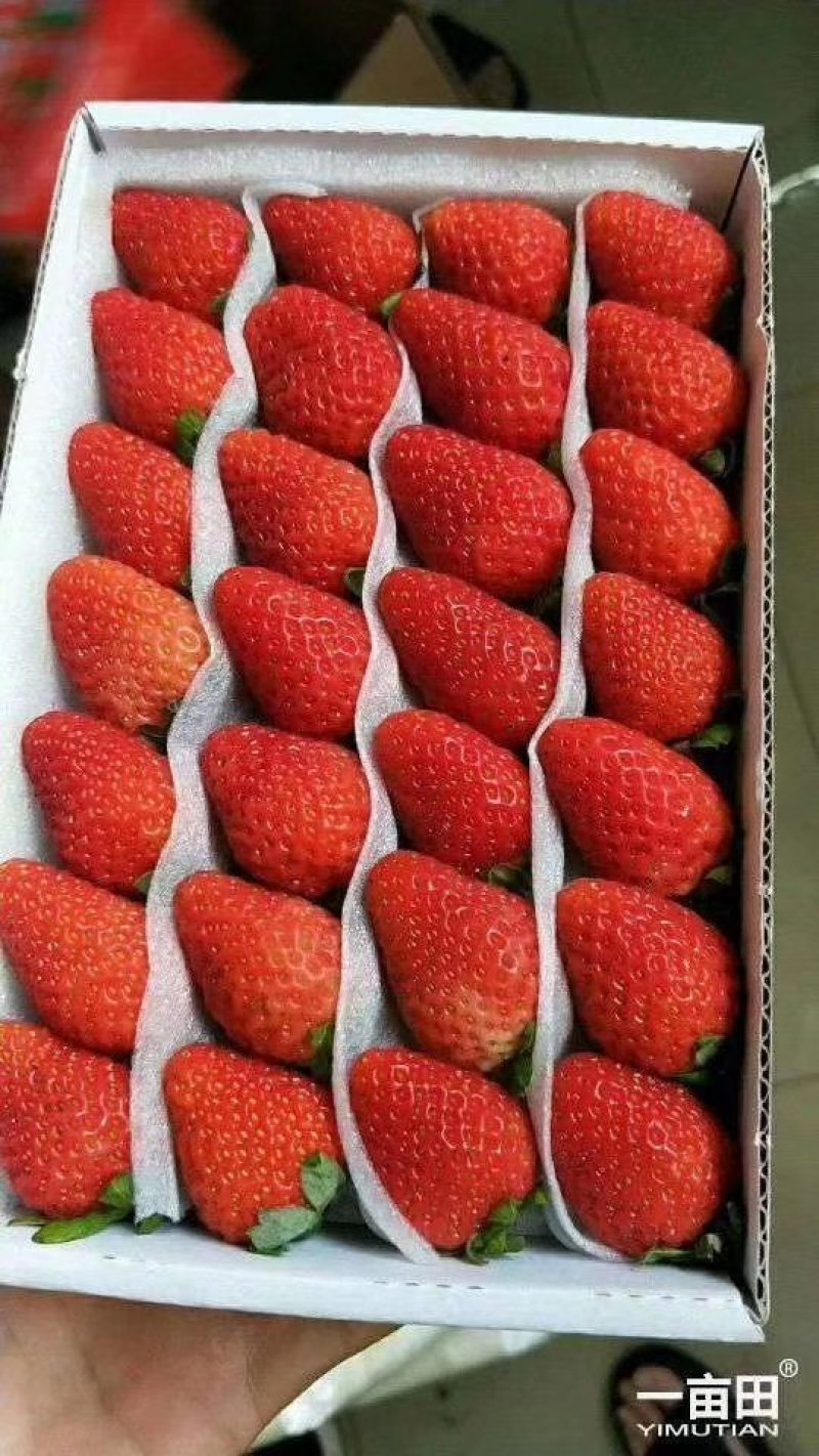 大量正宗红颜，自产自销
