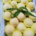 锦绣黄桃苗桃树苗黄金蜜6号桃苗黄金蜜7号桃苗