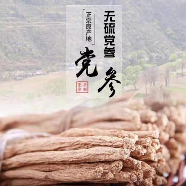 上党党参品质佳滋补品健康好药材无污染量大优惠