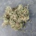 伸筋草，色青干货切断没切都有，可预定切断欢迎订购