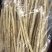 北沙参个正品无硫中药材北沙参