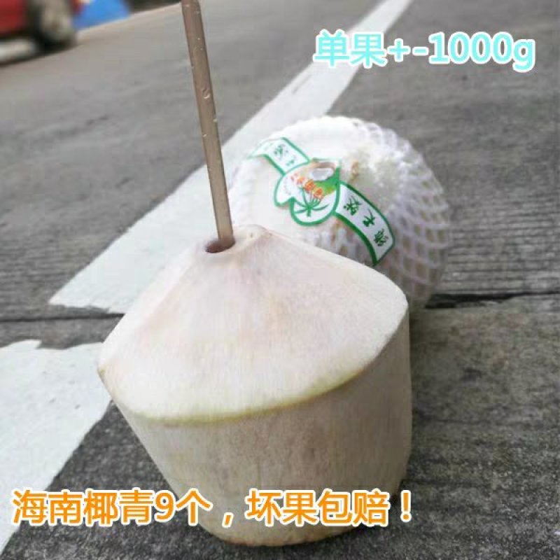 热带新鲜水果海南特产椰青去皮青椰子9个装大果全国包邮