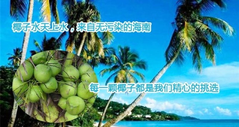 热带新鲜水果海南特产椰青去皮青椰子9个装大果全国包邮