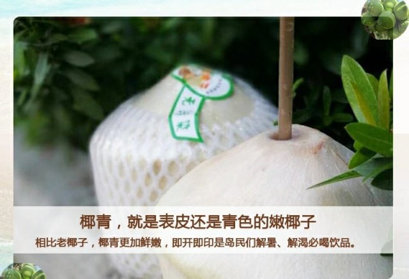 热带新鲜水果海南特产椰青去皮青椰子9个装大果全国包邮