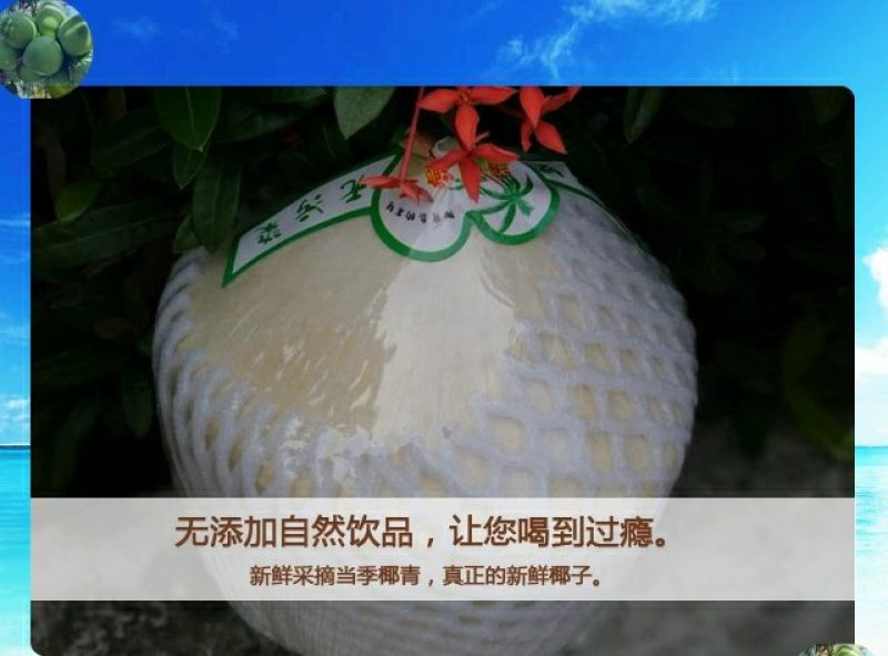 热带新鲜水果海南特产椰青去皮青椰子9个装大果全国包邮