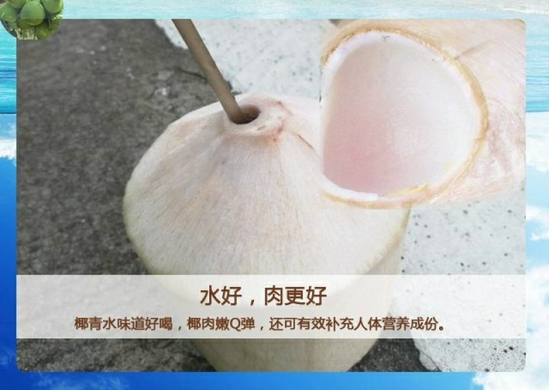 热带新鲜水果海南特产椰青去皮青椰子9个装大果全国包邮