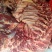 新鲜牛肉黄牛肉产地一手货源一条龙服务大吨位供应