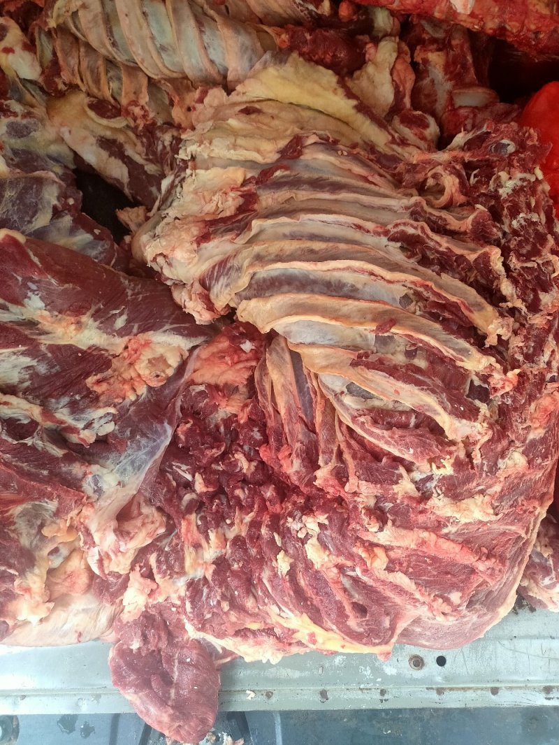 新鲜牛肉黄牛肉产地一手货源一条龙服务大吨位供应