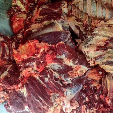 新鲜牛肉黄牛肉产地一手货源一条龙服务大吨位供应
