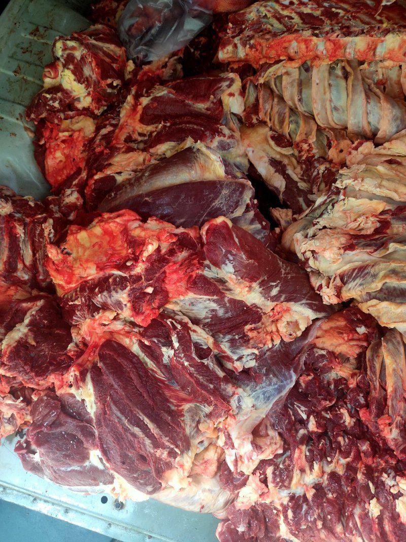 新鲜牛肉黄牛肉产地一手货源一条龙服务大吨位供应