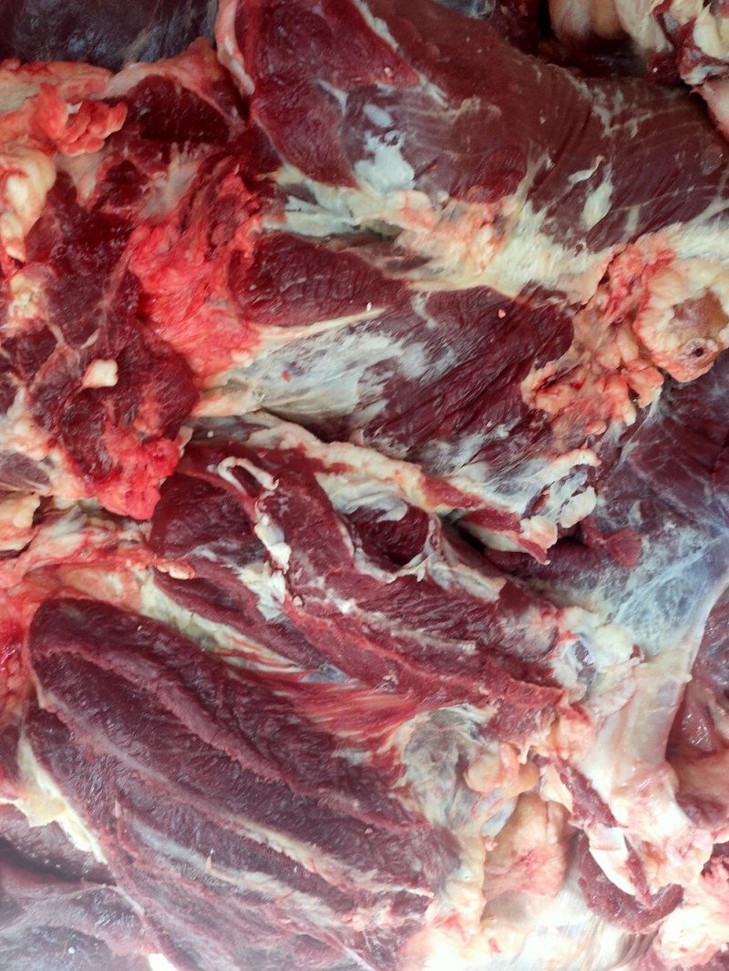 新鲜牛肉黄牛肉产地一手货源一条龙服务大吨位供应