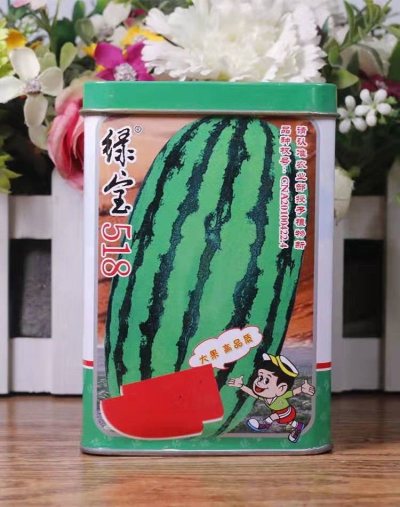 绿宝518西瓜种子花皮椭圆形高产抗病耐低温特大特甜红瓤皮