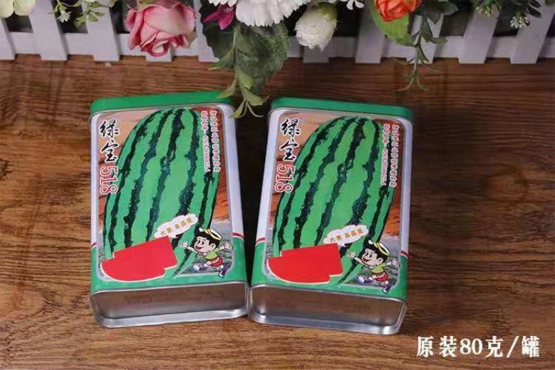 绿宝518西瓜种子花皮椭圆形高产抗病耐低温特大特甜红瓤皮