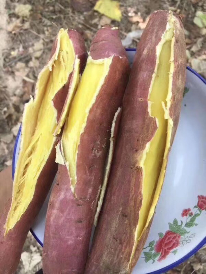 【🔥推荐】板栗红薯原产地直供香甜粉糯一件代发