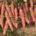 现摘黄红胡萝卜原产地直供支持一件代发