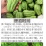 佛手瓜种籽佛手瓜种子种苗佛手瓜瓜种瓜苗秋种佛手