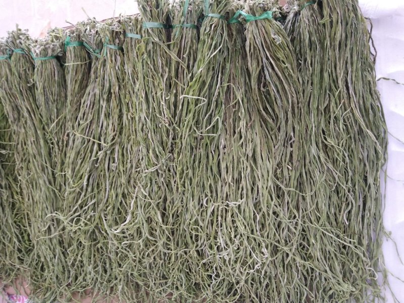 贡菜标准三级菜(不加水)