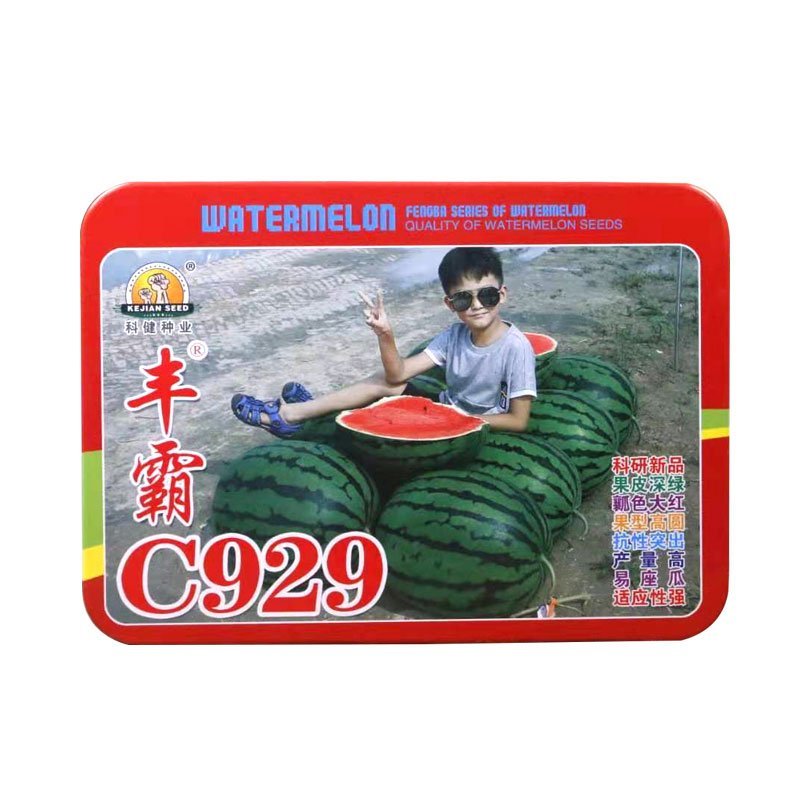 丰霸C929西瓜种子圆瓜皮薄超甜中晚熟高产抗病东北大地雷