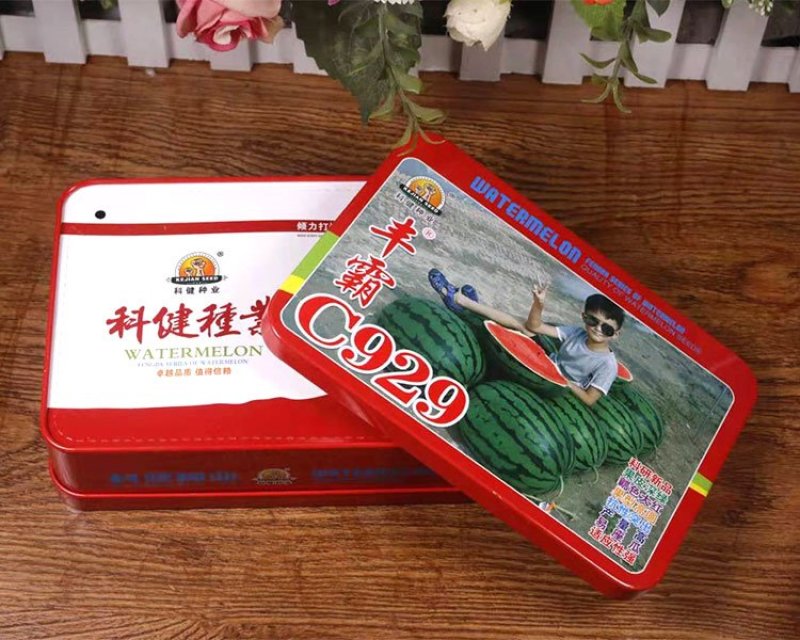 丰霸C929西瓜种子圆瓜皮薄超甜中晚熟高产抗病东北大地雷