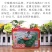 丰霸C929西瓜种子圆瓜皮薄超甜中晚熟高产抗病东北大地雷