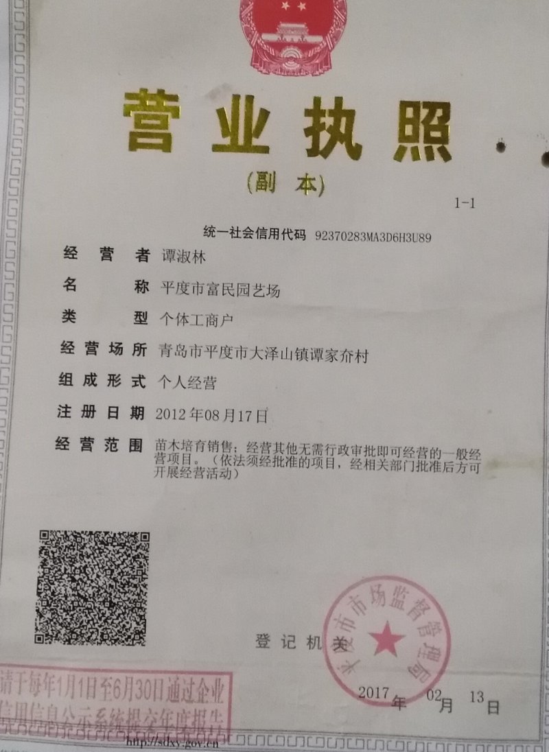 甜蜜蓝宝石葡萄苗假一赔十现挖现卖保纯度质量
