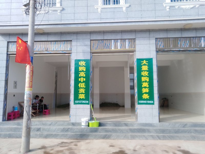 贡菜标准三级菜(不加水)