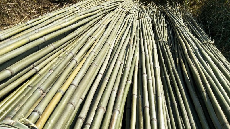 竹竿6.5米，生长于高海拔温差大的六龙山脉，结实耐用。