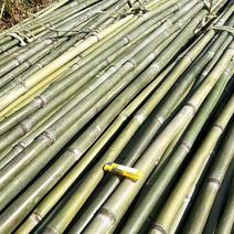 竹竿6.5米，生长于高海拔温差大的六龙山脉，结实耐用。